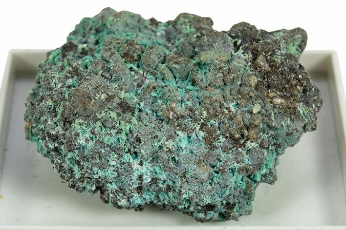 Beautiful Blue-Green Botallackite Crystal Cluster - England #309740